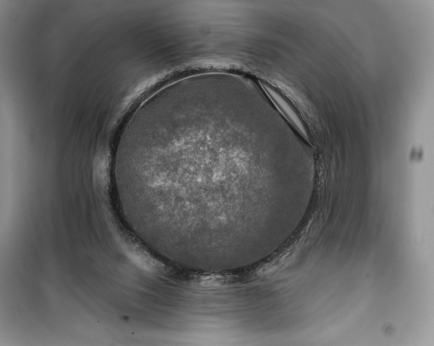 X0000100370064200806131047