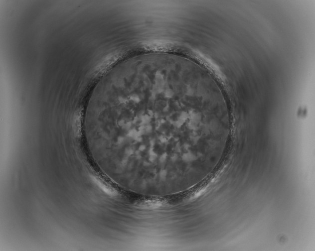 X0000100370065200806131047