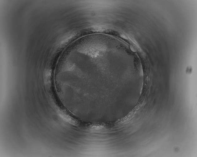 X0000100370066200806131047