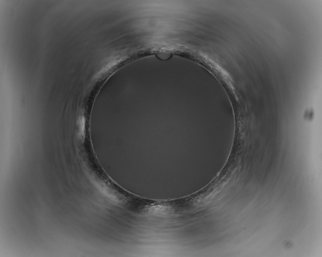 X0000100370067200806131047