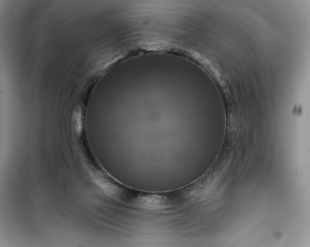 X0000100370069200806131047