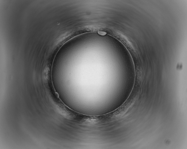 X0000100370071200806131047