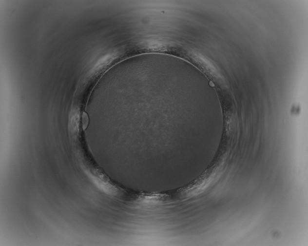 X0000100370072200806131047