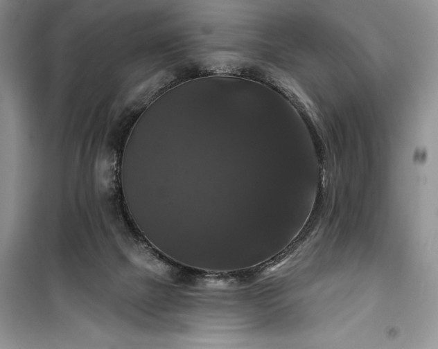 X0000100370073200806131047