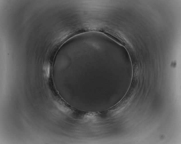 X0000100370076200806131047