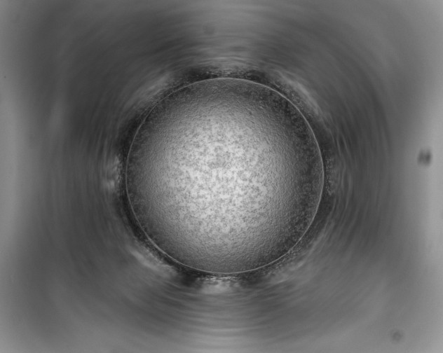 X0000100370077200806131047