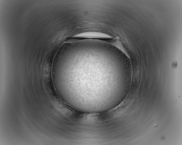 X0000100370078200806131047