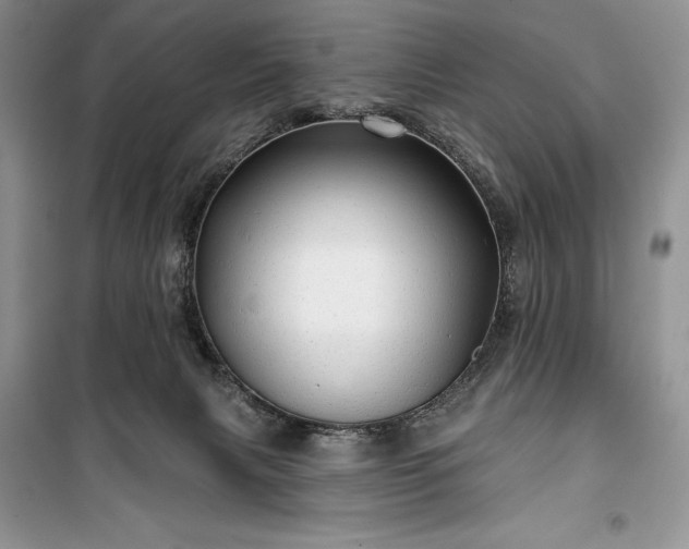 X0000100370079200806131047