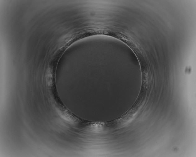 X0000100370080200806131047