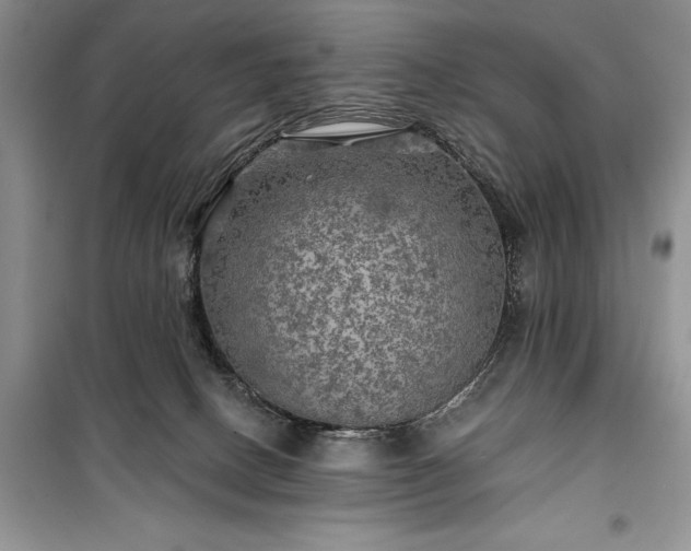 X0000100370082200806131047