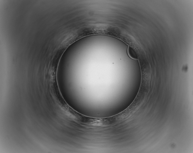 X0000100370083200806131047