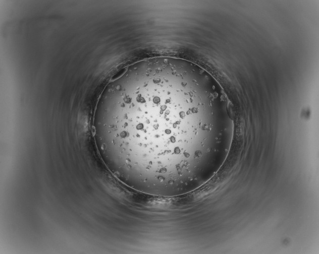 X0000100370084200806131047