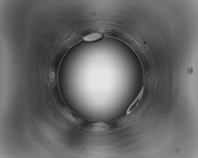 X0000100370087200806131047