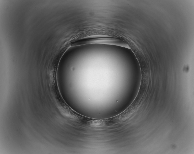 X0000100370088200806131047