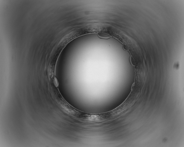 X0000100370091200806131047