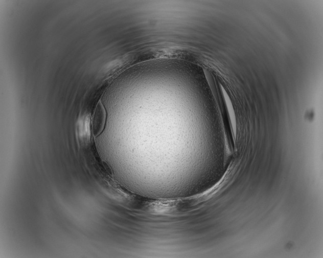 X0000100370094200806131047