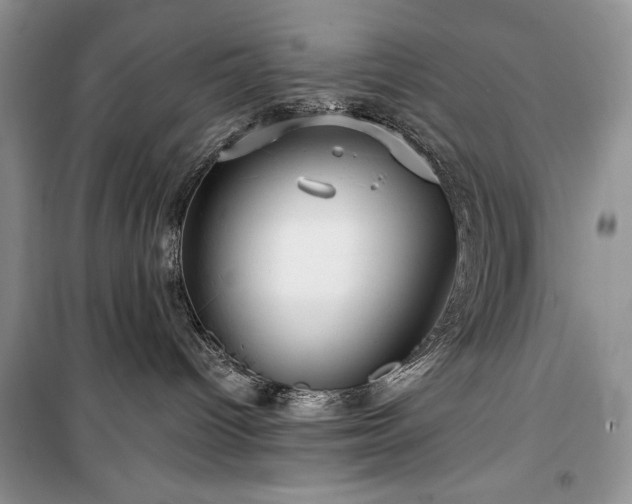 X0000100370096200806131047