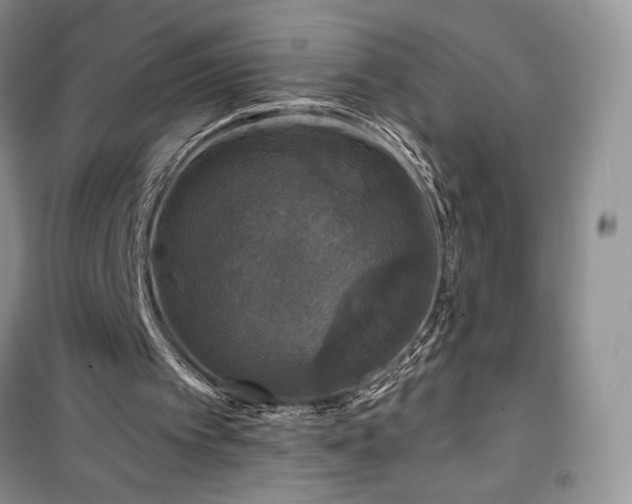 X0000100370097200806131046