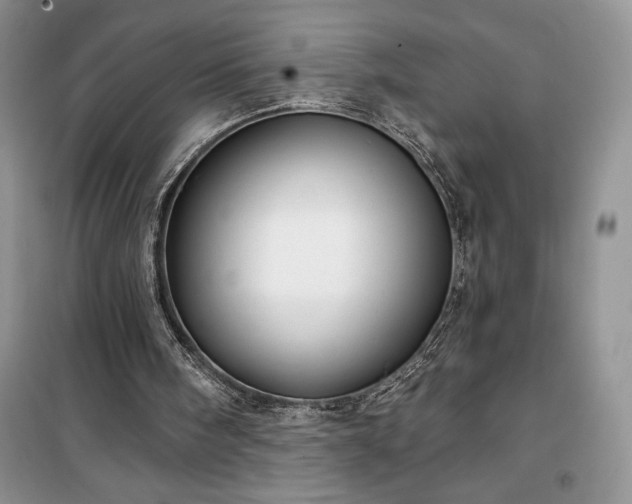 X0000100370098200806131046