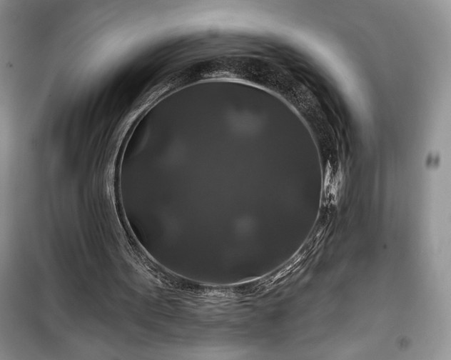 X0000100370099200806131046