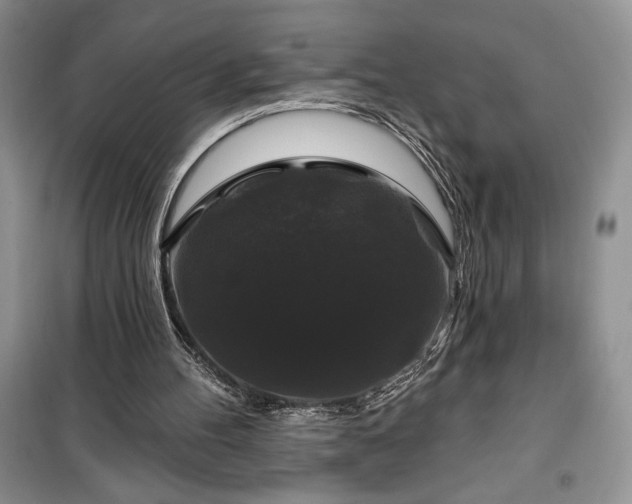 X0000100370100200806131046