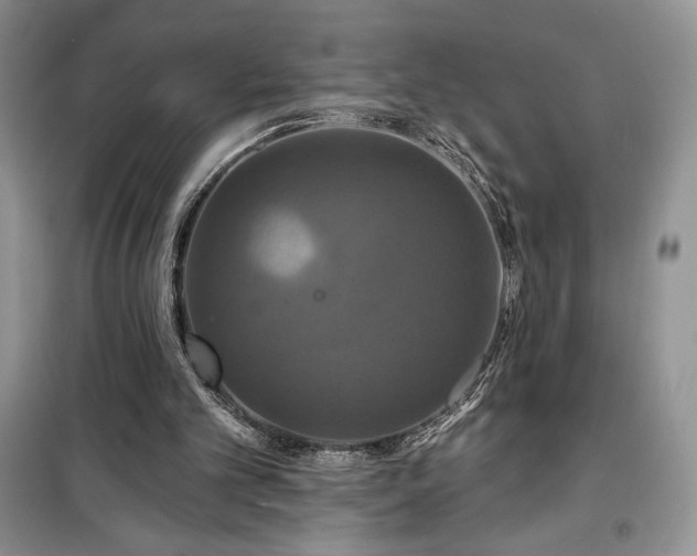 X0000100370101200806131046