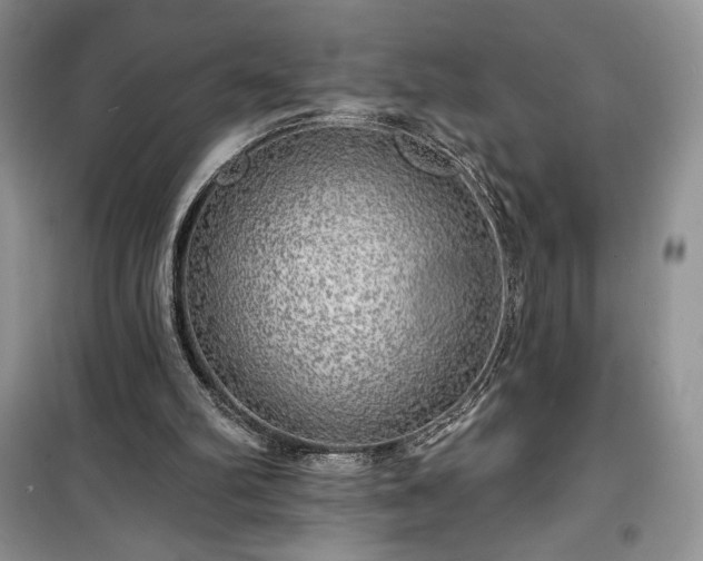 X0000100370102200806131046