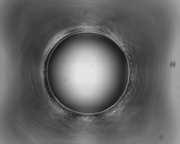 X0000100370103200806131046