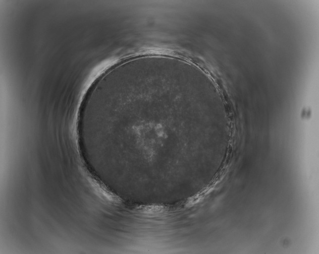 X0000100370104200806131046