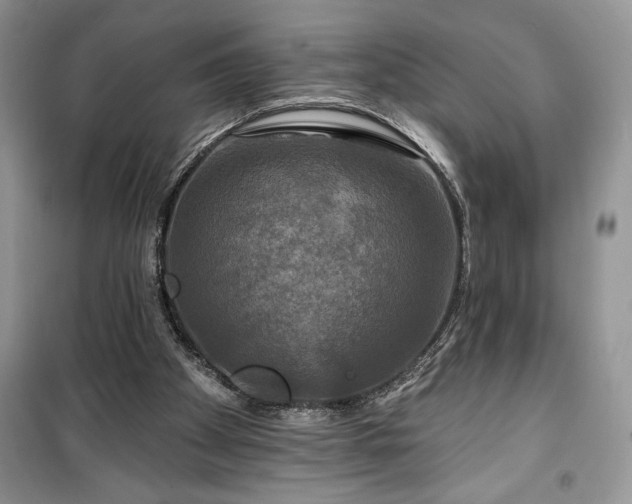 X0000100370105200806131046