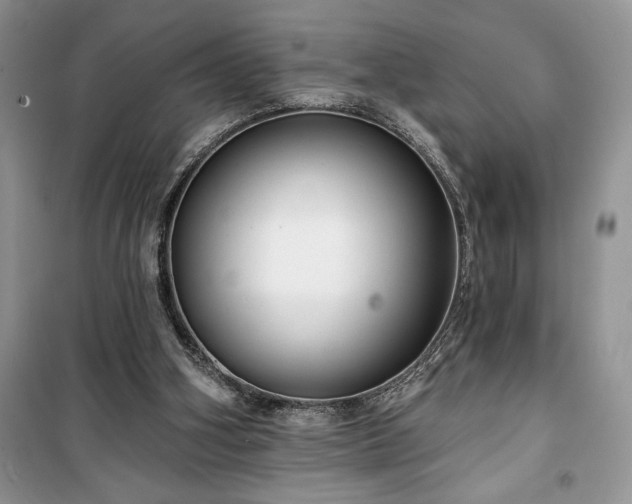 X0000100370106200806131046