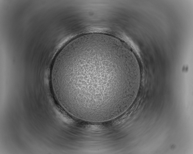 X0000100370107200806131046