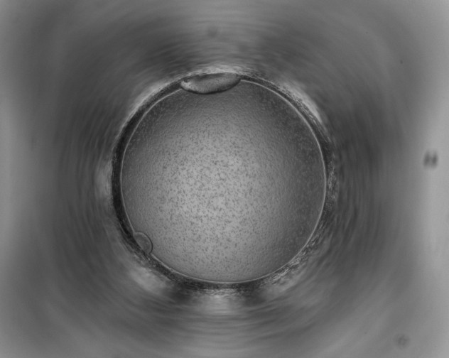 X0000100370108200806131046