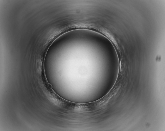 X0000100370109200806131046