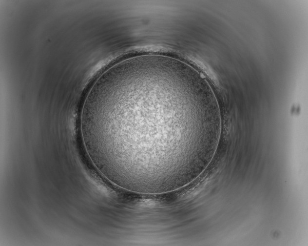 X0000100370111200806131046