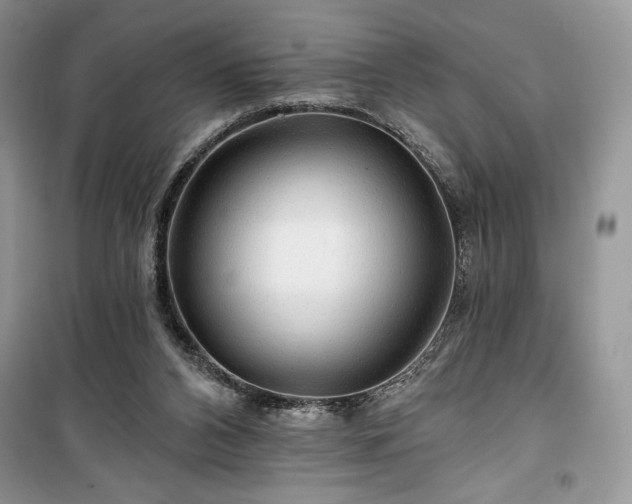 X0000100370112200806131046