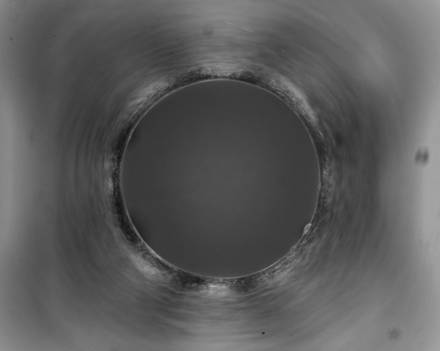 X0000100370114200806131046