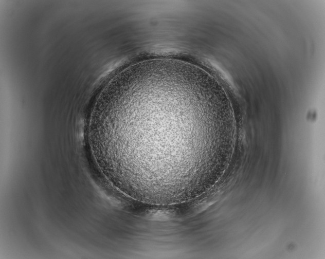 X0000100370115200806131046