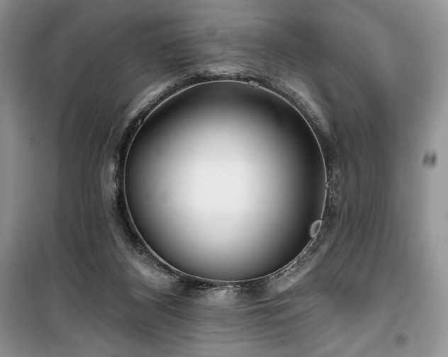 X0000100370116200806131046