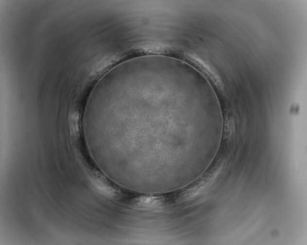 X0000100370117200806131046