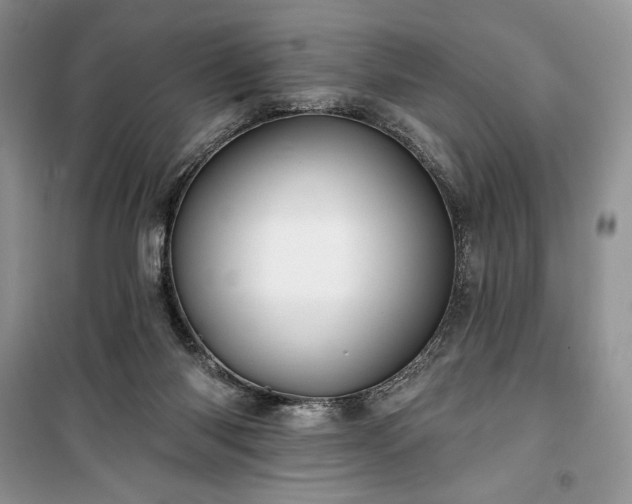 X0000100370118200806131046