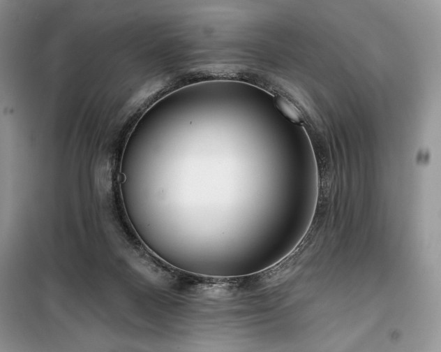 X0000100370120200806131046