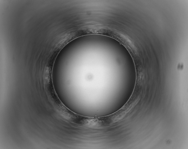 X0000100370121200806131046