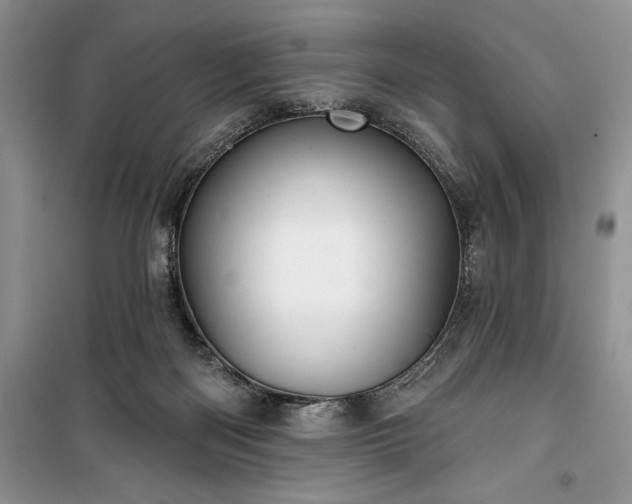 X0000100370122200806131046