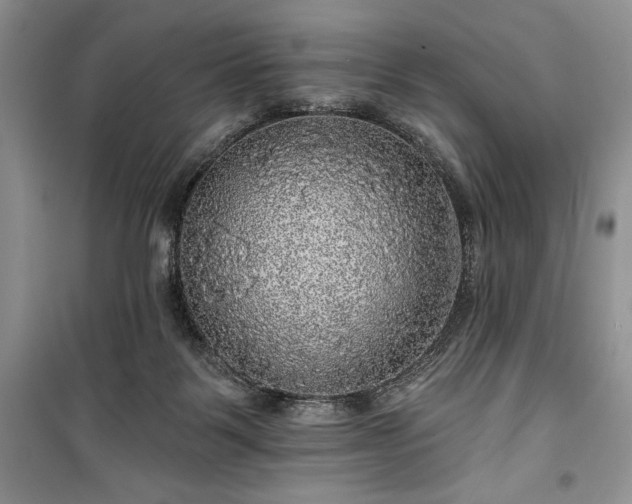 X0000100370123200806131046