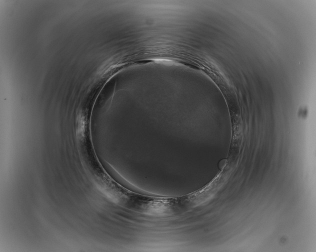 X0000100370124200806131046