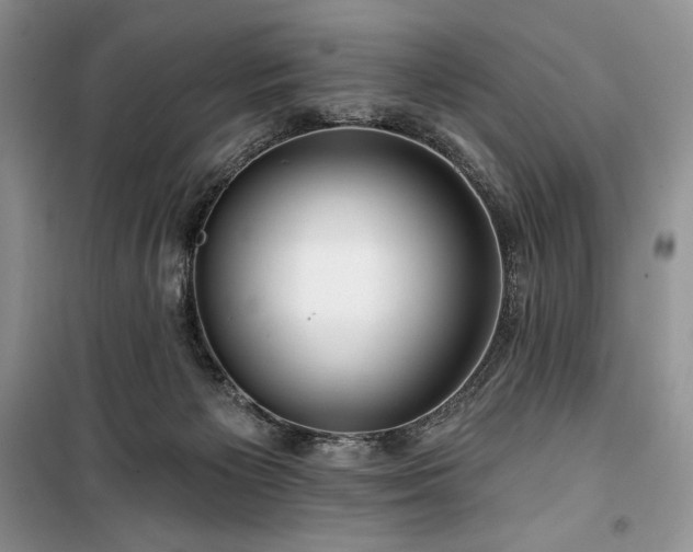 X0000100370125200806131046