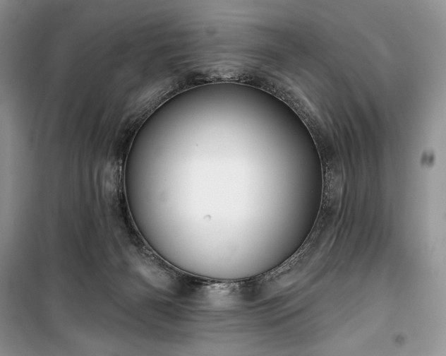 X0000100370126200806131046