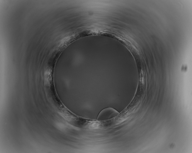 X0000100370127200806131046