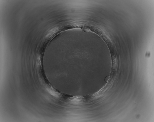 X0000100370128200806131046